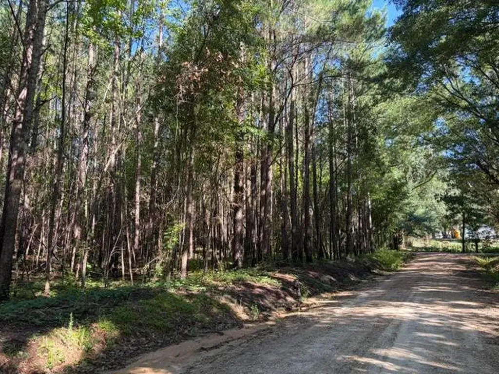 124 Hawkin Road Dozier AL 36028