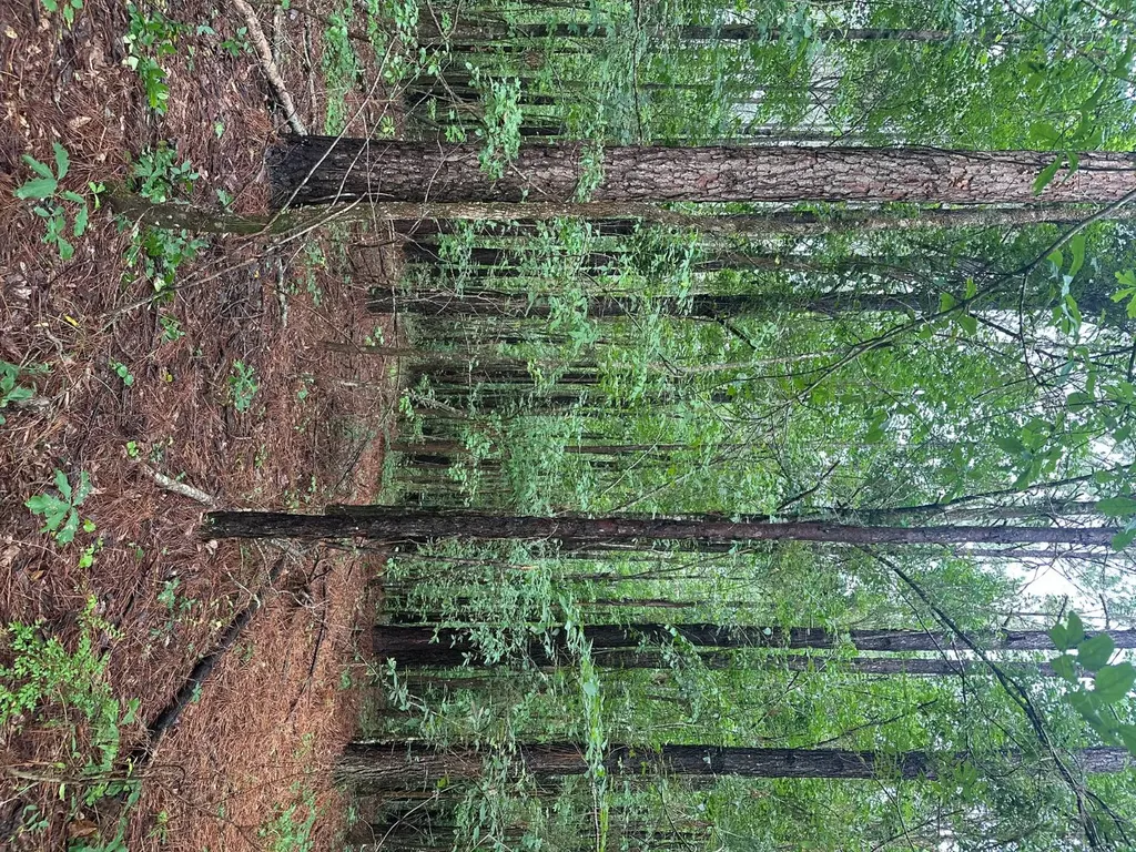 * Waters Street Cuba AL 36907
