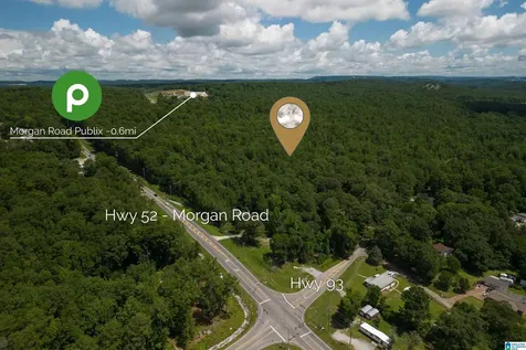 0 Highway 52 Helena AL 35080