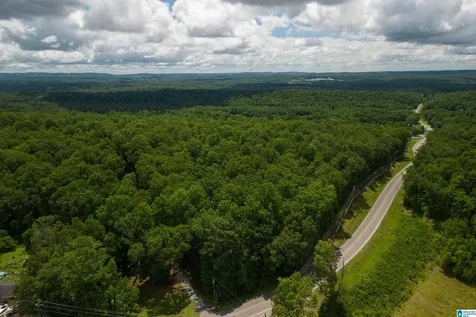 0 Highway 52 Helena AL 35080