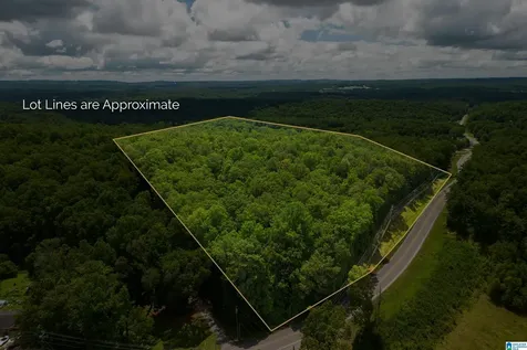 0 Highway 52 Helena AL 35080
