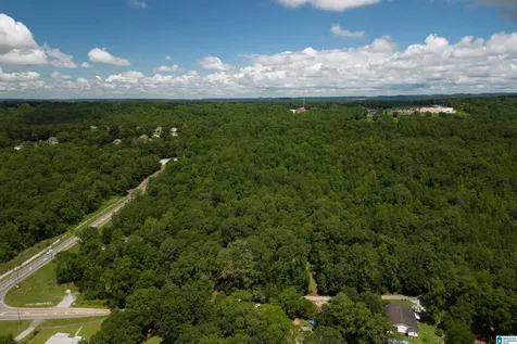 0 Highway 52 Helena AL 35080