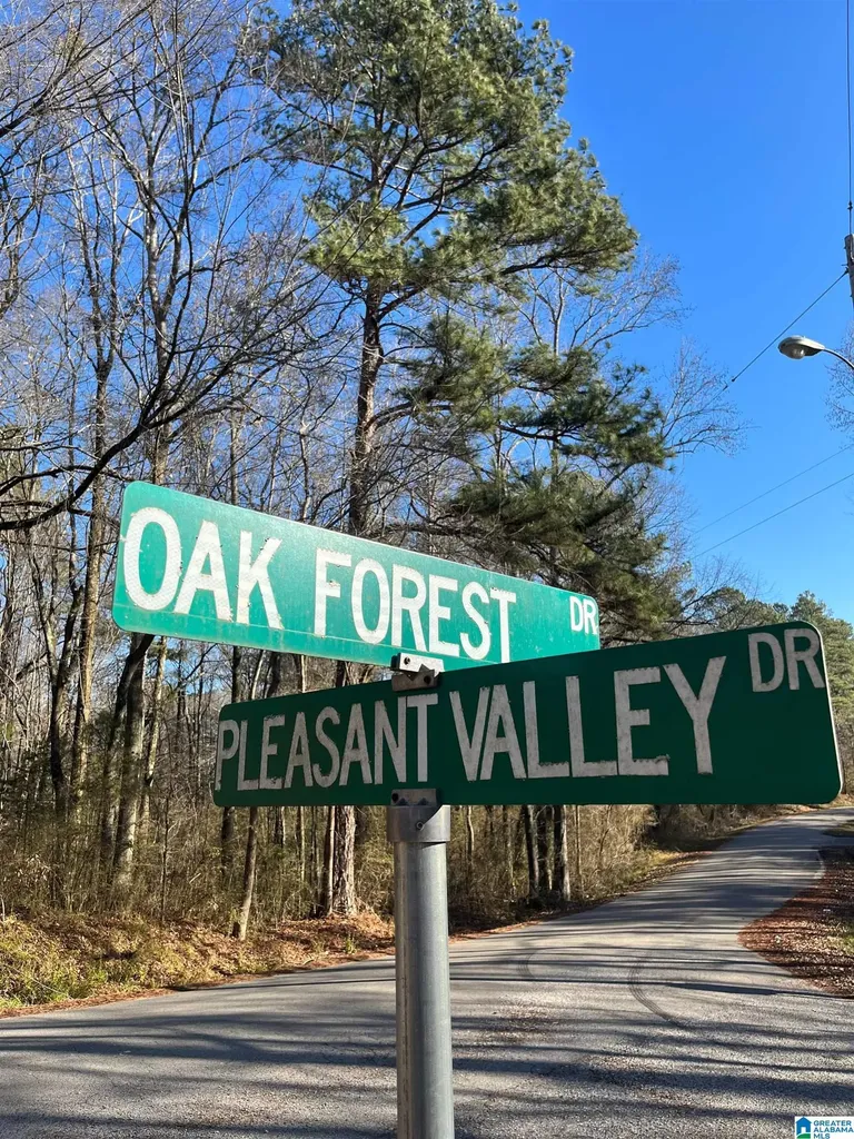 212 Oak Forest Drive Birmingham AL 35217