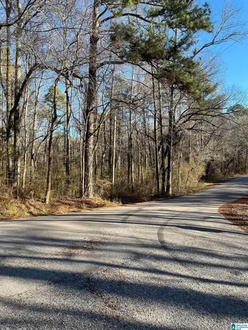 212 Oak Forest Drive Birmingham AL 35217