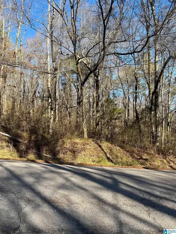 212 Oak Forest Drive Birmingham AL 35217