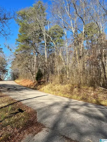 212 Oak Forest Drive Birmingham AL 35217