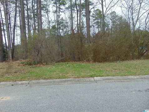 213 Grande View Circle Alabaster AL 35114