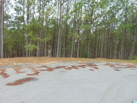 1208 Grande View Lane Alabaster AL 35114