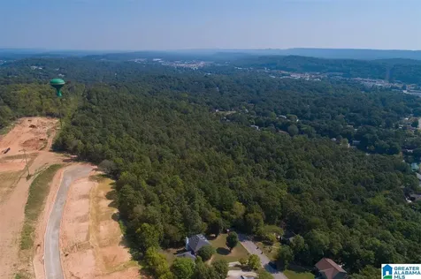 Round Hill Road Pelham AL 35124