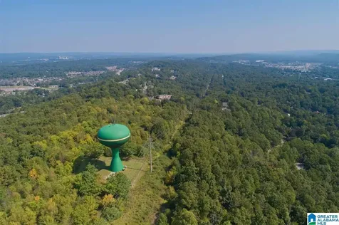 Round Hill Road Pelham AL 35124