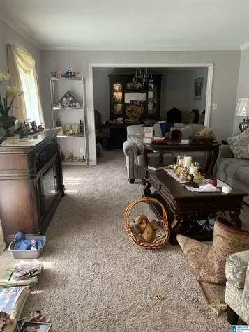 1212 Cozy Circle Bessemer AL 35023