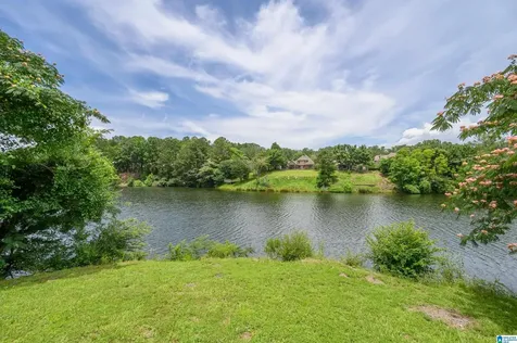 5927 Waterscape Pass Hoover AL 35244