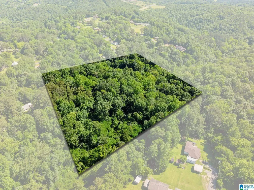 399 12th Avenue SE Graysville AL 35073