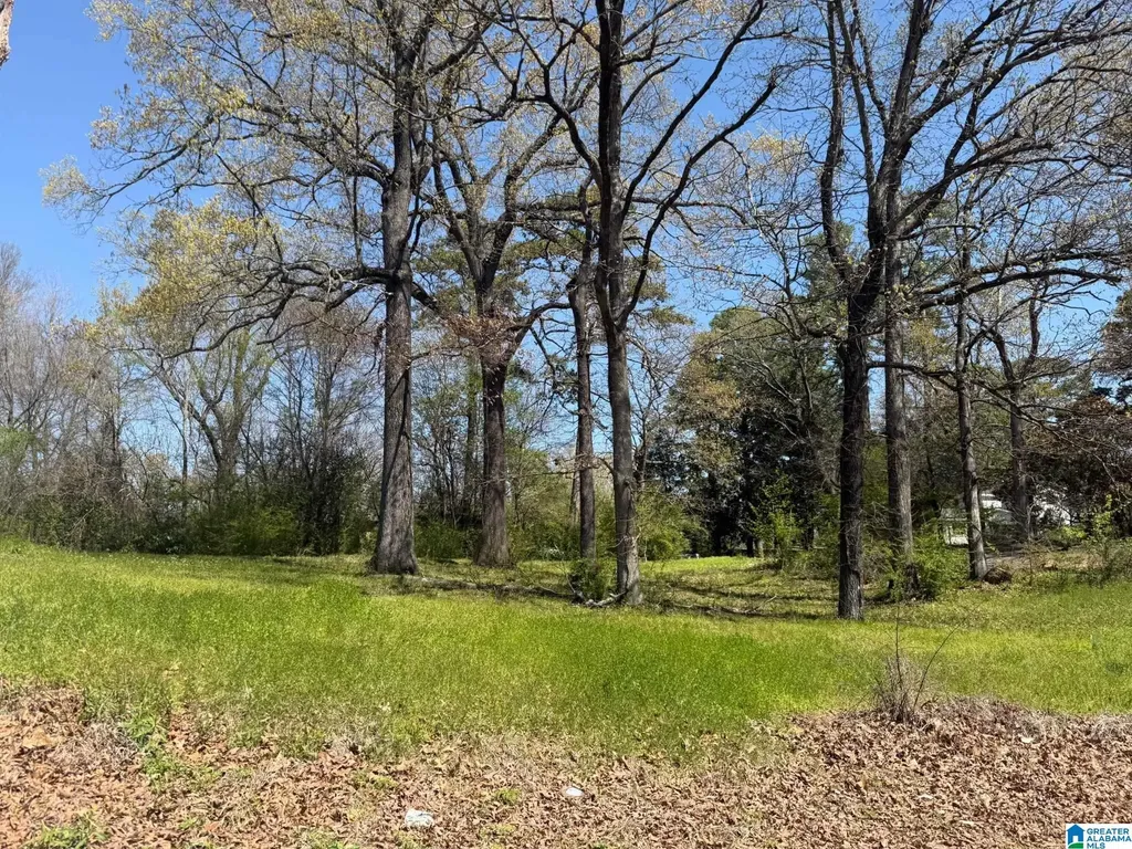 5251 7th Avenue Midfield AL 35228