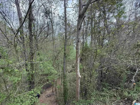 8362 Old Highway 280 Chelsea AL 35043