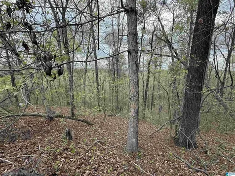 8362 Old Highway 280 Chelsea AL 35043