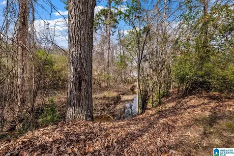 106 Hidden Creek Parkway Pelham AL 35124