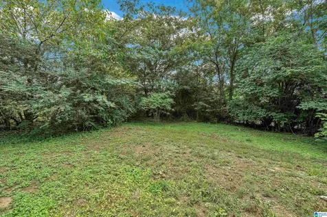 7436 Canada Avenue Birmingham AL 35224