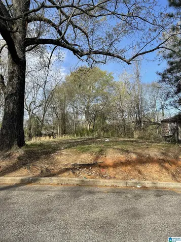 7232 Paris Avenue Birmingham AL 35206