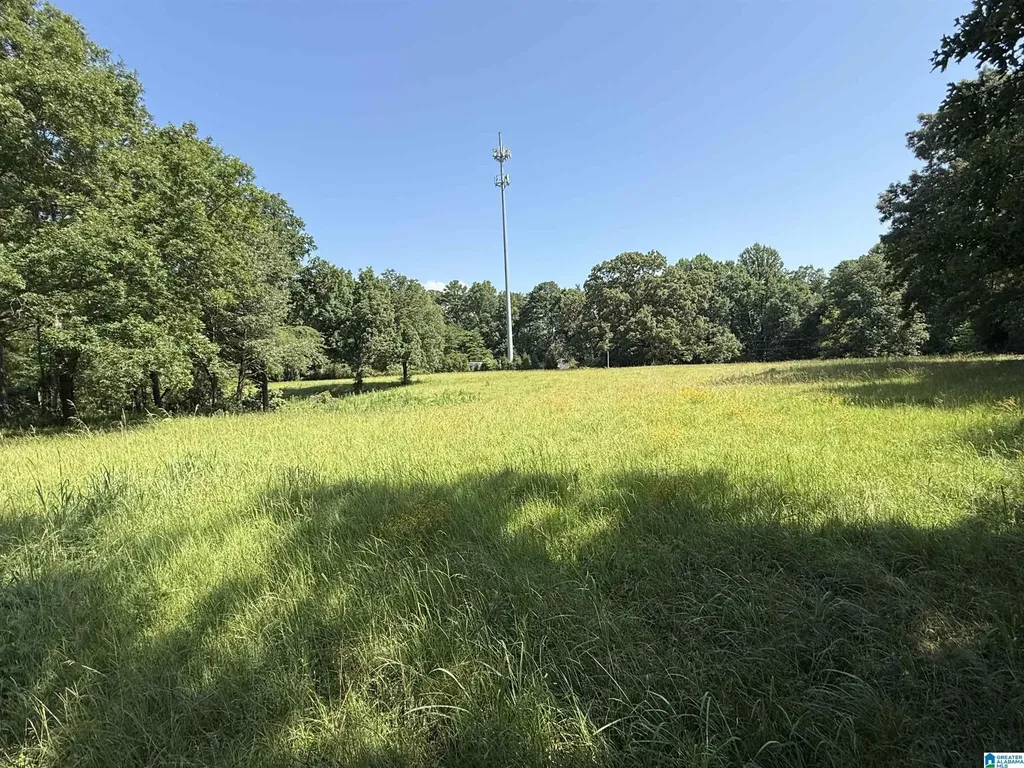 1423 7th Place Pleasant Grove AL 35127