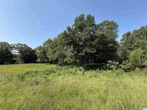 1423 7th Place Pleasant Grove AL 35127