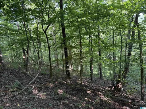 1423 7th Place Pleasant Grove AL 35127