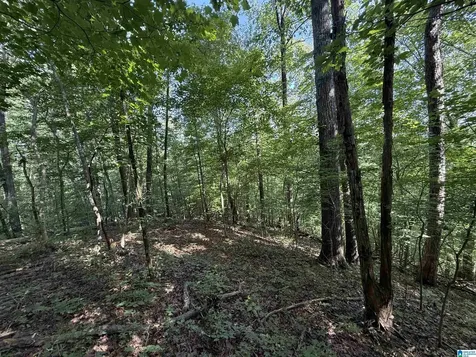 1423 7th Place Pleasant Grove AL 35127