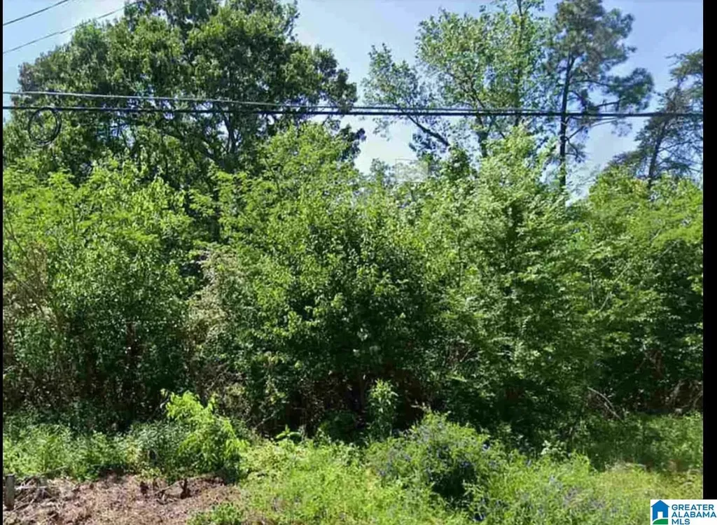 1328 4th Terrace Pleasant Grove AL 35127