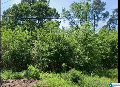 1328 4TH Terrace Pleasant Grove AL 35127