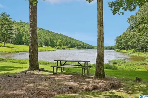 1097 Long Leaf Lake Drive Helena AL 35022