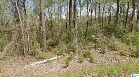 317 Hilltop Road Adamsville AL 35005