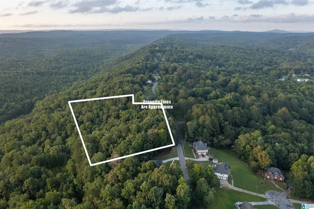 0 Levine Road Odenville AL 35120