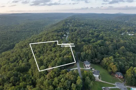 0 Levine Road Odenville AL 35120