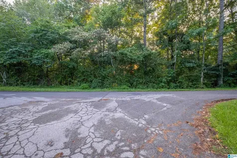 0 Levine Road Odenville AL 35120