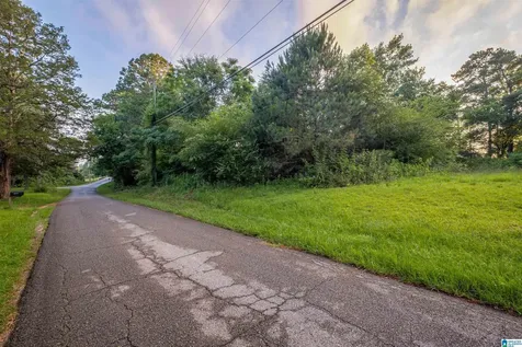 0 Levine Road Odenville AL 35120