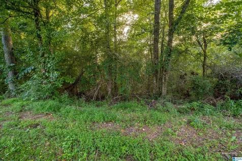 0 Levine Road Odenville AL 35120
