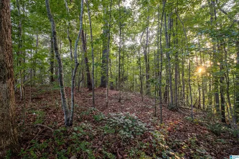 0 Levine Road Odenville AL 35120