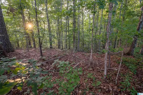 0 Levine Road Odenville AL 35120