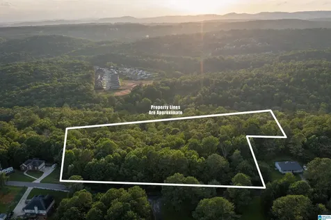 0 Levine Road Odenville AL 35120