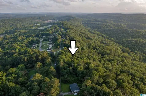 0 Levine Road Odenville AL 35120