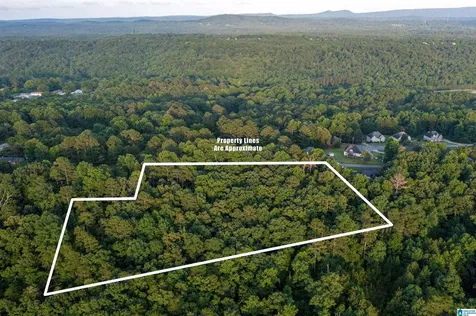 0 Levine Road Odenville AL 35120