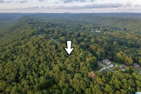 0 Levine Road Odenville AL 35120