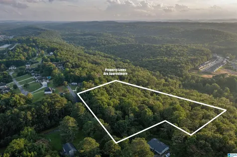 0 Levine Road Odenville AL 35120