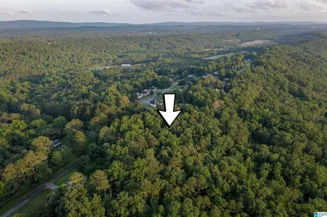 0 Levine Road Odenville AL 35120