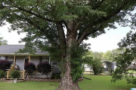 5807 Tommy Town Road Mount Olive AL 35117