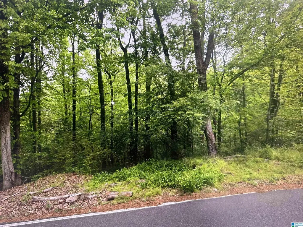 1753 Big Mountain Drive Birmingham AL 35235