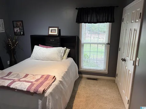 6054 Lakeside Drive Mount Olive AL 35117