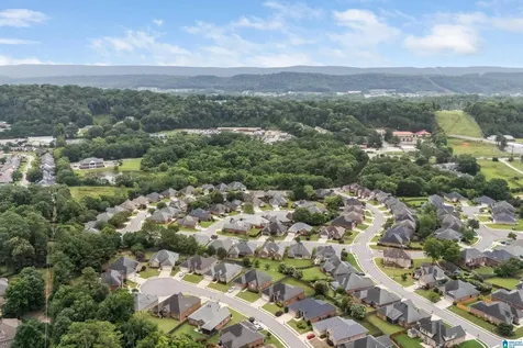 217 Beaver Crest Circle Pelham AL 35124