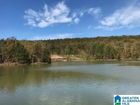 #3A Deer Ridge Drive Pelham AL 35043
