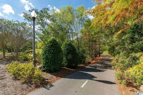3969 James Hill Place Hoover AL 35226